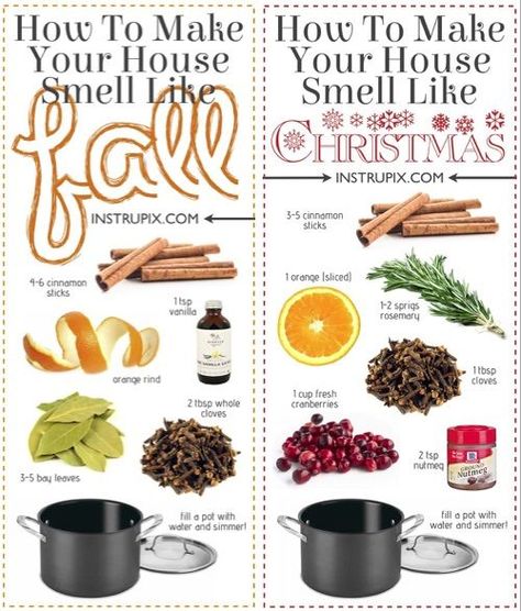 Stovetop Potpourri Recipes, Homemade Potpourri, Simmer Pot Recipes, Stove Top Potpourri, Herbst Bucket List, Potpourri Recipes, Simmer Pot, House Smell Good, Stovetop Potpourri