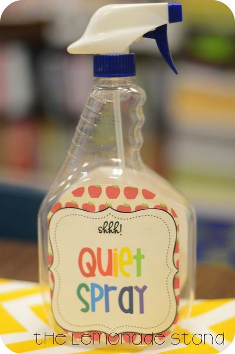 Classroom Management Tools: Quiet Spray!!! Bravo Board, Quiet Spray, Positive Expectations, Come Back To School, Sunday School Classroom, Classroom Management Tool, Toddler Classroom, Classroom Behavior Management, Behaviour Management