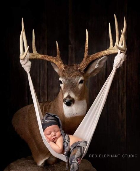 Country Baby Pictures, Deer Photography, Baby Boy Newborn Pictures, Hunting Baby, Newborn Photography Boy, Baby Pictures Newborn, Baby Boy Pictures, Western Babies, Baby Boy Room Nursery