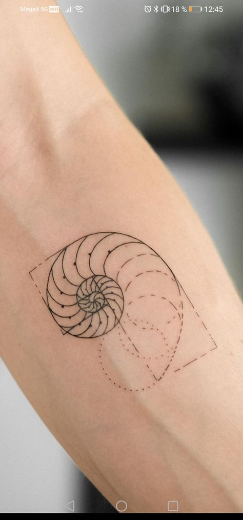 Small Fibonacci Tattoo, Nature Spiral Tattoo, Fibonacci Nature Tattoo, Fibonacci Spiral Tattoo Golden Ratio, Fibanocci Spiral Tattoos, Nautilus Tattoo Design, Fibinocci Tattoo, Fibinocci Spiral Tattoo, Fibbonaci Tattoo Design