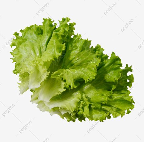 Lettuce Vegetable, Green Lettuce, Food Backgrounds, Lettuce Leaves, Green Vegetables, Orange Recipes, Light Orange, Background For Photography, Pork Belly