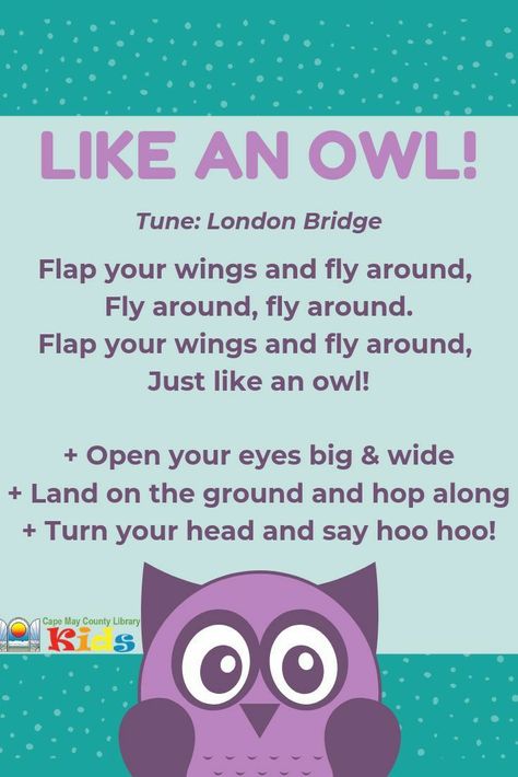 Storytime Songs, Owl Preschool, Hibernating Animals, Owl Activities, Animals Tattoos, Library Programming, Circle Time Songs, Kindergarten Songs, Tattoos Quotes