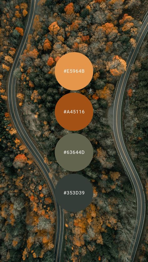 Autumn Colour Palette Interior, Sage Green And Rust Color Palettes, Rust Orange Bedroom Walls, Fall Complimentary Colors, Green Grey Orange Color Palette, Sage Green Autumn Decor, Forest Green Burnt Orange Living Room, Fall Color Kitchen Ideas, Sage Green And Burnt Orange Kitchen