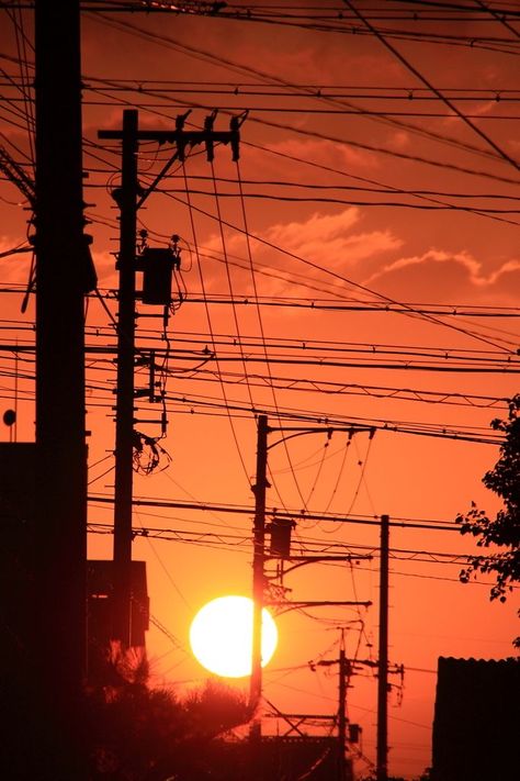 Photo Aesthetic Orange, Something In The Orange Aesthetic, Orange Japanese Aesthetic, Aesthetic Orange Photos, Aesthetic Orange Pictures, Orange Aesthetic Pictures, Orange Vibes Aesthetic, Warm Orange Aesthetic, Sunset Orange Aesthetic