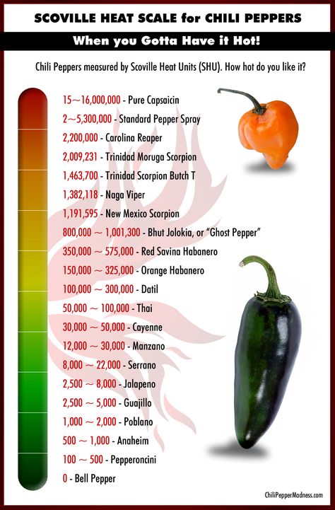 The Scoville Scale of Chili Peppers List from Hottest to Mildest: The Scoville unit was named for Wilbur Scoville in 1912. At the time, he worked for a pharmaceutical company named Parke-Davis where he developed a test called the "Scoville Organoleptic Test" which is used to measure a chili pepper's heat. Pepper Scale, Types Of Peppers, Chile Peppers, Hot Sauce Recipes, Ghost Peppers, Chile Pepper, Food Scale, Chilli Pepper, Chili Peppers