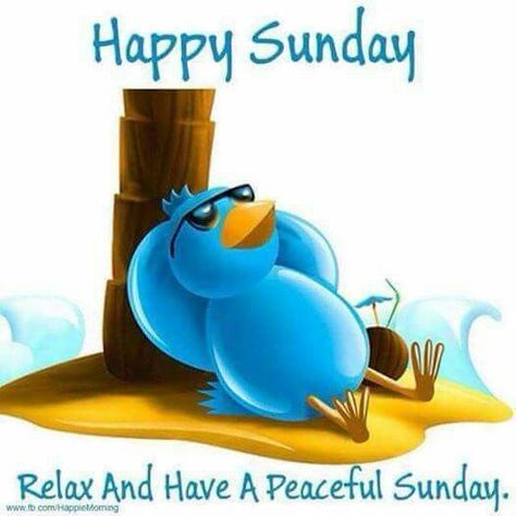 Relaxing Peaceful Sunday sunday sunday quotes peaceful sunday Peaceful Sunday, Happy Sunday Images, Happy Sunday Morning, Sunday Morning Quotes, Sunday Greetings, Good Sunday Morning, Sunday Images, Happy Sunday Quotes, Good Morning Beautiful Quotes