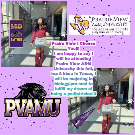 Savannah on Instagram: “Happy decision day seniors!!🥳I’m very excited to spend my next four years at PVAMU ✨☺️” Decision Day Pictures, Pvamu Aesthetic, Afmc Pune College Aesthetic, Morgan State University Decision Day, Decision Day Outfit, Grand Valley State University Aesthetic, Msu College Aesthetic, Famu Decision Day Photoshoot, Decision Day