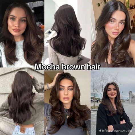 Medium Long Haircuts For Fine Hair, Different Brunette Shades, Dark Amber Brown Hair, Neutral Warm Hair Colors, Mocha Brown Hair Color With Highlights, Dark Mocha Brown Hair Color, Brown Mocha Hair Color, Different Shades Of Brunette Hair, Cool Mocha Brown Hair