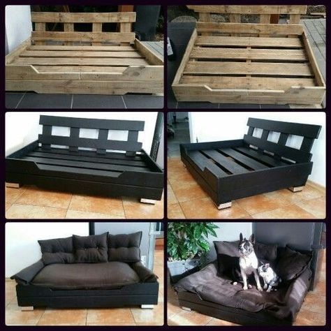 Dog Couch Bed, Pallet Dog Beds, Puppy Obedience Training, Dog Couch, Easiest Dogs To Train, Dog House Diy, Diy Dog Bed, House Training Dogs, Dog Rooms