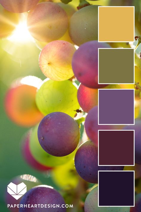 Love Color Palette Colour Schemes, Best Bedroom Color Palette, Grapes Color Palette, Autumn Leaves Color Palette, Tri Color Palette, 6 Color Palette Colour Schemes, Grape Color Palette, Color Palette For Art, Tuscany Color Palette