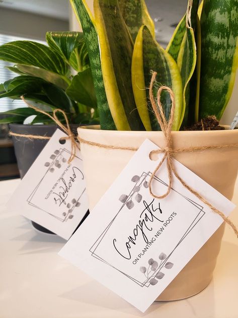 Housewarming Plant Gift, Realtor Drop By Gifts, Plant Housewarming Gift, Office Welcome Gifts, Resident Move In Gifts Apartments, Tenant Welcome Gift, New Resident Welcome Gifts, Real Estate Agent Gifts, Gifts From Realtors To Clients