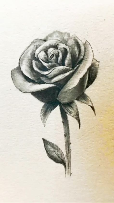 Shane Burke | How to Draw a Realistic Rose! 🌹 #drawinglesson #drawingtutorial #howtodraw #learntodraw #artclass #drawinglessons #art #draw #sketch… | Instagram Flower Sketch Realistic, Rose Drawing Simple Sketch, Rose Sketch Realistic, Rose Pencil Drawing, Realistic Rose Drawing, Roses Sketch, Realistic Flower Drawing, Rose Drawing Simple, Sketch Instagram