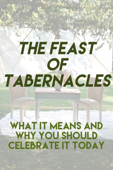 Tabernacles Feast, The Feast Of Tabernacles, Biblical Food, Feast Of Tabernacles Ideas, Biblical Feasts, Jewish Feasts, Jewish Calendar, Feasts Of The Lord, Jewish Festivals