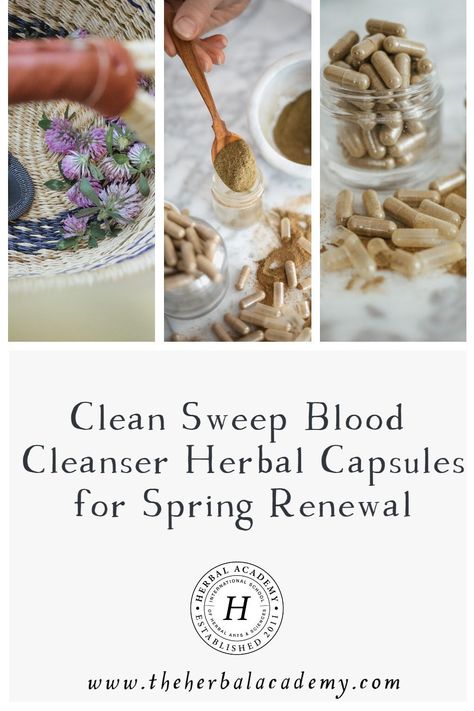 Shed your winter heaviness with our herbal capsules recipe using alterative herbs! It will help you gently cleanse and refresh during spring. (#affiliate) Homemade Herbal Capsules, Herbal Capsule Recipes, Herbal Capsules, Spring Cleanse, Herbal Academy, Botanics Skin Care, Homemade Crackers, Clean Sweep, Herbal Tinctures