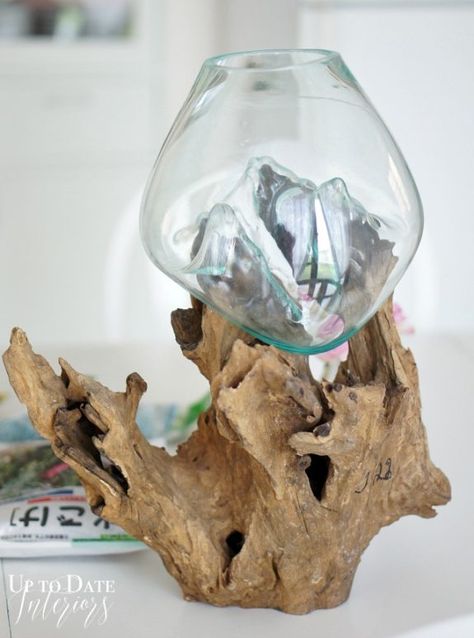 Driftwood and Glass DIY Terrarium - Over The Big Moon Driftwood Fish Bowl, Beach Theme Terrarium, Wood And Glass Terrarium, Molten Glass On Driftwood, Beach Theme Succulent Terrarium, Glass Fish Bowl, Wood Succulent Planter, Natural Wood Toys, Driftwood Diy