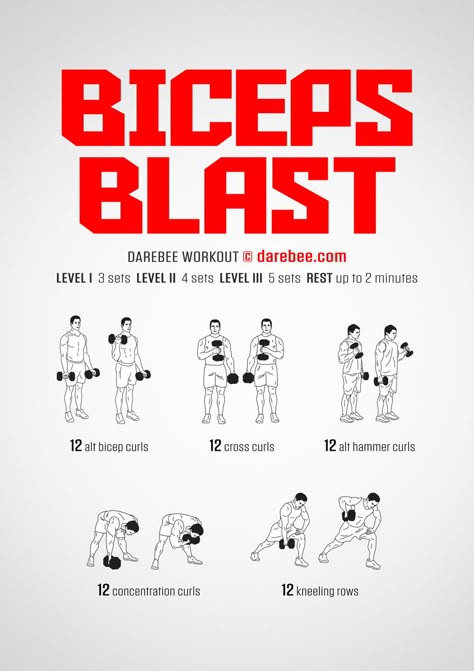 Biceps Workout Dumbbell Men, Arm Workout Men Dumbell, Biceps Workout For Men At Home, How To Get Big Biceps At Home, Grow Biceps Fast, Most Effective Bicep Workout, Bicep Calisthenics Workout, Home Workout Biceps, Big Arms Workout Men Dumbell