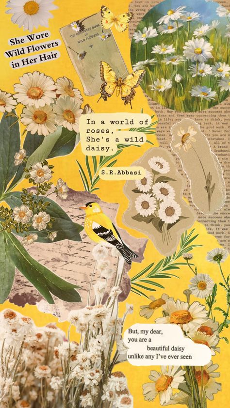 #yellow #daisy #wildflowers #nature #collageart Daisy Core Aesthetic, Daisy Collage, Daisy Aesthetic, Craft Wallpaper, Yellow Collage, Yellow Daisy, Yellow Daisies, Yellow Aesthetic, + Core + Aesthetic