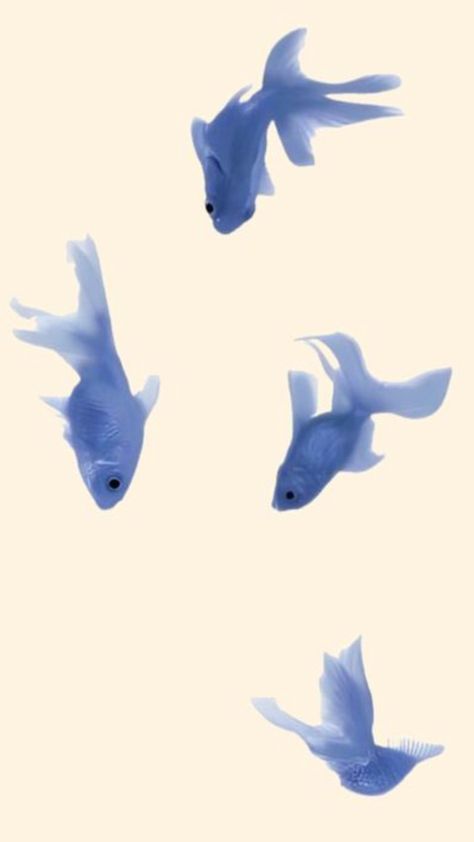 Wallpaper, lockscreen, minimalistic wallpaper, simple wallpaper, clean girl aesthetic wallpaper Aesthetic Fish Wallpaper, Clean Girl Aesthetic Wallpaper, Simple Lock Screen, Iphone Minimalist Wallpaper, Wallpaper Clean, Aesthetic Fish, Girl Aesthetic Wallpaper, Coastal Room Decor, Minimalistic Wallpaper