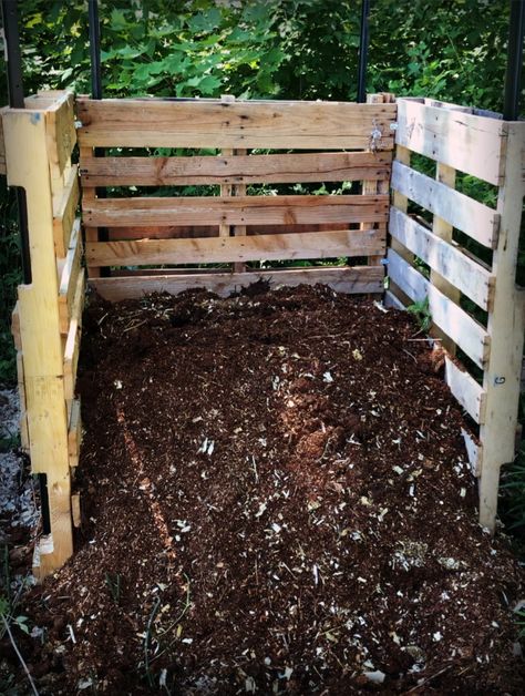 Build A Compost Bin, Pallet Compost, Compost Pile, Finger Tips, Horse Barns, Diy Pallet, Farm Gardens, Compost Bin, Family Farm