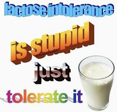 Tolerate It, Inspirational Memes, Lactose Intolerant, Sticker Ideas, Sem Lactose, Top Funny, Love Memes, Dating Memes, Funny Love