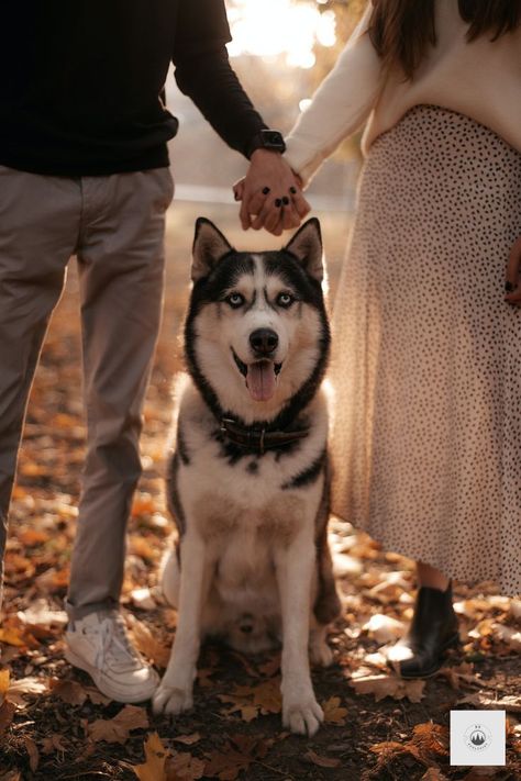 Dog Family Pictures, Family Dog Photos, Family Pet Photography, Dog Photography Poses, Fall Couple Photos, Shooting Couple, Fall Photo Shoot Outfits, Animal Photoshoot, Photos With Dog