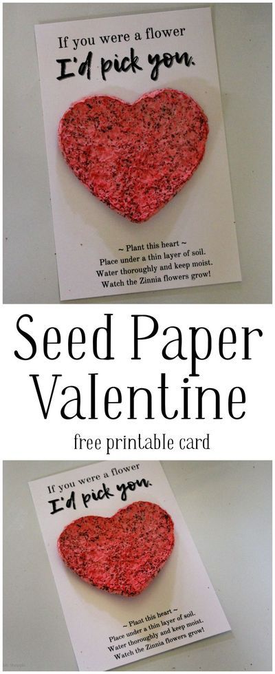 Learn how to make an adorable Seed Paper Valentine with a FREE printable card and seed paper tutorial. Print at home and send to family and friends! #seed #paper #Valentine #printable #love #card #handmade Free Printable Valentines Cards, Flower Seed Paper, Hanging Craft Ideas, Diy Valentines Cards, Plantable Seed Paper, Valentine's Day Crafts For Kids, Free Printable Cards, Printable Valentines Cards, Hanging Craft