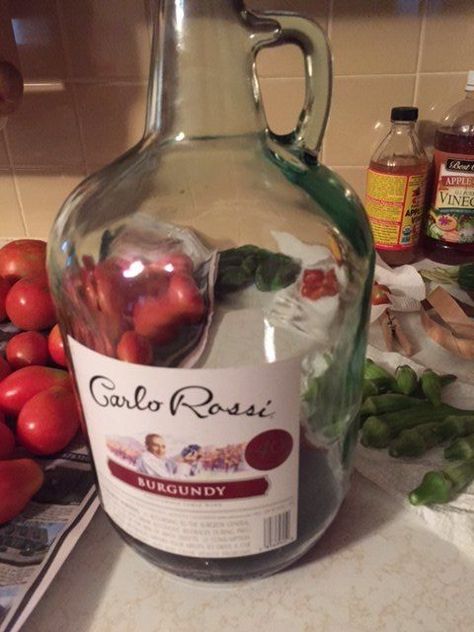 Gallon Wine Bottle Crafts, How To Repurpose Glass Bottles, Gallon Wine Jug Crafts Diy Projects, Wine Jug Centerpieces, Carlo Rossi Wine Bottle Crafts, Large Glass Bottle Ideas, Wine Jug Decor, Large Wine Bottle Crafts, 1 Gallon Glass Jug Ideas