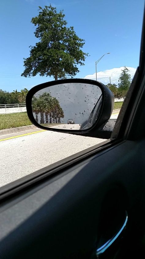 Florida weather in one picture Nature, Florida Astethic, Florida Aesthetic, Florida Weather, Kids Animals, Parking Spot, One Picture, Disney Jokes, I Feel You