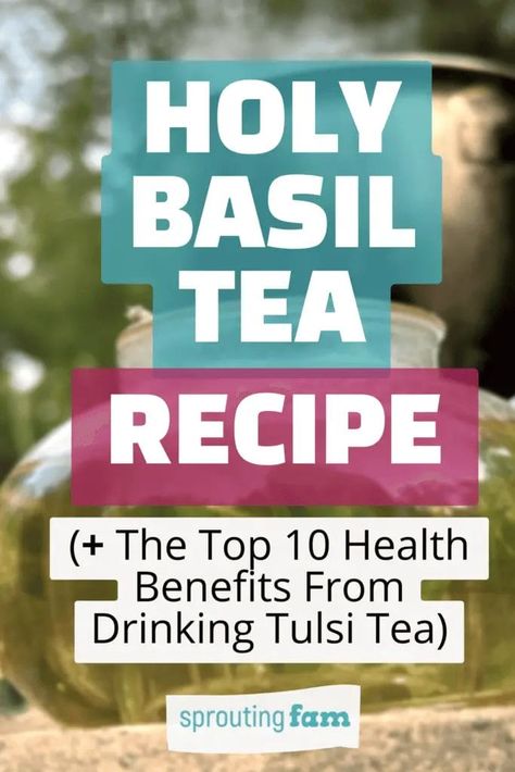 Holy Basil Tea Recipe (aka Tulsi Leaves) Holy Basil Tea Benefits, Holy Basil Recipes, Basil Tea Benefits, Basil Tea Recipe, Tulsi Tea Benefits, Holy Basil Benefits, Holy Basil Tea, Tulsi Leaves, Skin Recipes