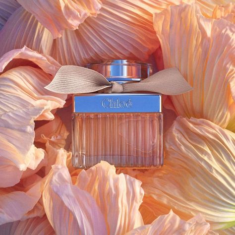 Chlo� Eau de Parfum - Chloe | Sephora Chloe Aesthetic Core, Chloe Brand Aesthetic, Chloe Perfume Aesthetic, Pub Parfum, Chloe Fragrance, Chloe Parfum, Perfume Adverts, Chloe Brand, Chloe Perfume