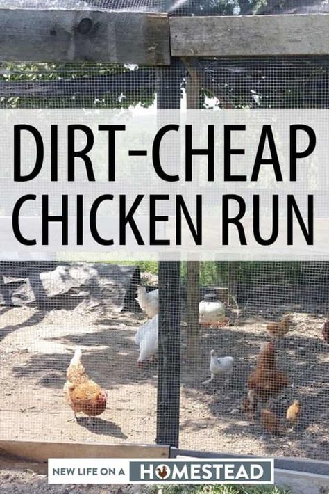 You can make your own chicken run out of dirt-cheap materials, some of which are probably lying around your back yard right now. Photos and videos included. #nloah #chickens #chickenrun #diy Cheap Chicken Run Ideas, Farm Baby Nursery, Diy Chicken Run Cheap, Coop Plans Free, Building A Chicken Run, Chicken Enclosure, Chicken Coop Plans Free, Farm Landscaping, Chicken Coop Blueprints