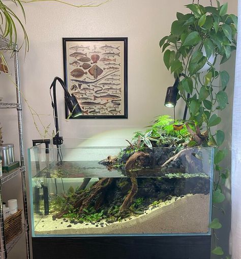 River Paludarium, Ocean Fishes, Green Corner, Wall Aquarium, Bell Jars, Fish Tank Terrarium, Fish Tank Design, Aquascape Design, Indoor Water Garden