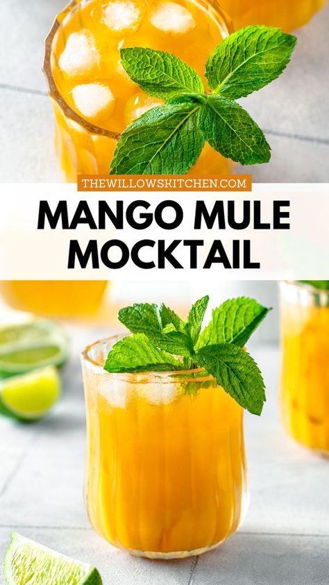 Taste the tropical bliss of the Mango Mule Mocktail - a non-alcoholic and delicious alternative to the classic mule cocktails. With ripe mango, tangy citrus juice, and bubbly ginger ale, this refreshing drink is easy to make and perfect for everyone, including kids. Drinks With Ginger Ale Non Alcoholic, Mango Mocktails Non Alcoholic, Mango Mule Mocktail, Mango Mocktail Recipe, Tropical Mocktails Non Alcoholic, Citrus Mocktail, Vegan Mocktail, Mango Mule, Mango Mocktail