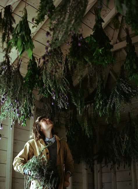 Drying herbs {Kinfolk} Shed Inspiration, Kinfolk Magazine, Preserving Herbs, Magia Das Ervas, Herbs Spices, Witch Aesthetic, Eat Clean, Green Witch, Food Tips