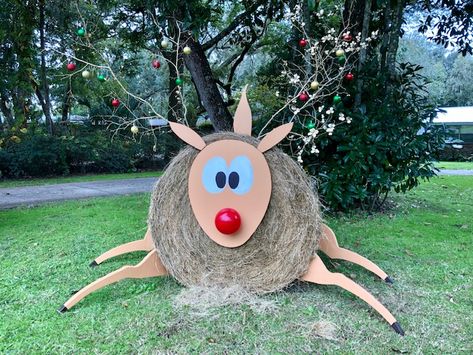 Reindeer Hay Bale, Christmas Hay Bale, Driveway Decor, Hay Bale Decor, Hay Bail, Hay Bale Decorations, Hunting Birthday Party, Hunting Birthday, Handsome Husband