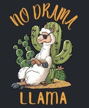 No Drama Lama, Llama Drawing, Llama Pictures, Llama Arts, No Drama Llama, 3d Chalk Art, Day Of The Shirt, Drama Llama, Funny Llama