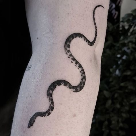 Corn Snake Tattoo, Pearl Tattoo, Corn Snake, Dot Work Tattoo, Dark Tattoo, Snake Tattoo, Realism Tattoo, Fine Line Tattoos, Tattoo Inspo