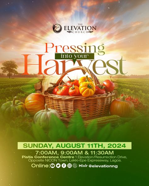 Church Harvest Poster Flyer Design
#church #flyer #poster #harvest Harvest Church, Christian Graphic Design, Church Poster, Church Flyer, Flyer Poster, Church Design, Design Inspo, Flyer Design, New Era