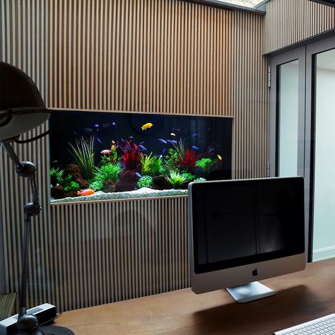 Aquarium Architecture, Home Aquarium Aesthetic, Wall Aquarium Ideas, Modern Fish Tank, Fend Shui, Warm Home Aesthetic, Fish Tank Wall, Aqua Scape, Japandi House