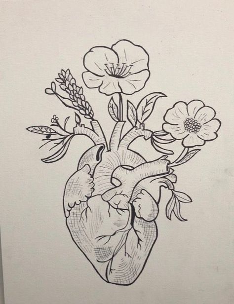 Heart Sketchbook Ideas, Human Heart Drawing Sketches, Asthetic Tattoos Women, Heart With Flowers Drawing, Perspective Tips, Human Heart Art, Anatomical Heart Drawing, Human Heart Drawing, Anatomical Heart Art