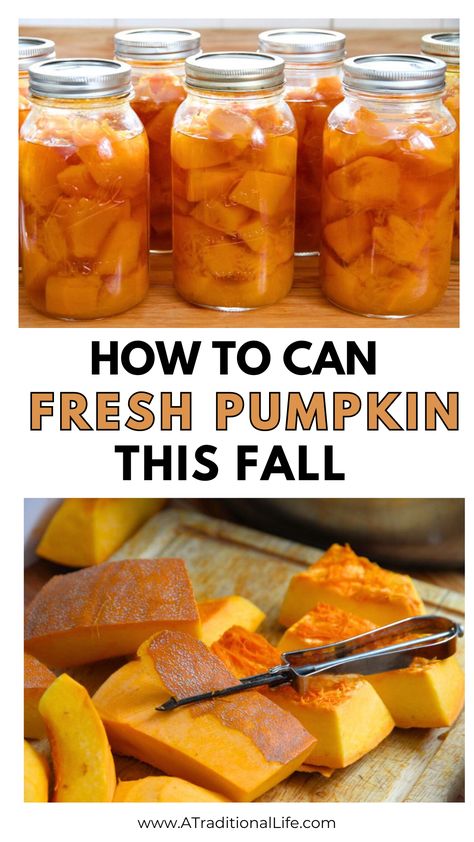 Pressure Canning Pumpkin - This pressure canning for beginners recipe is so easy to do with your fall pumpkin harvest! Learn how to can pumpkin chunks safely in a pressure canner! Start canning pumpkin in your kitchen, so you can have your own pumpkin puree on hand throughout the year to use in your favorite recipes. #pumpkin Diy Canned Pumpkin, How To Can Fresh Pumpkin Puree, Pressure Canning Pumpkin, Pumpkin Puree Canning, Water Bath Canning Pumpkin Puree, Pumpkin Puree Canning Recipes, Safe Canning Recipes, Canning Pumpkin Soup, Canning Fresh Pumpkin Puree