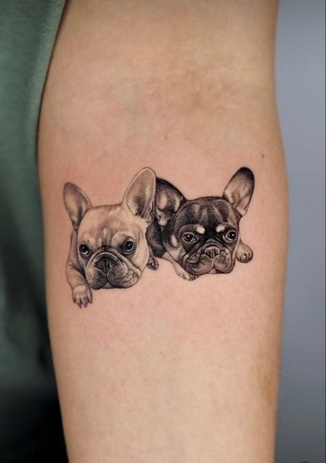 Bulldog Tattoo Ideas, Boston Terrier Tattoo, Nose Tattoo, France Tattoo, 2024 Tattoo, French Bulldog Tattoo, Pug Tattoo, P Tattoo, Bulldog Tattoo