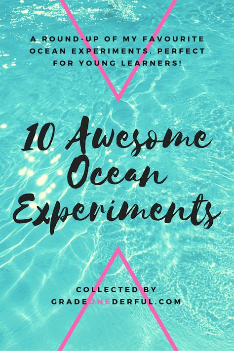 Ocean Science Experiments! » Grade Onederful Ocean Experiments, Ocean Science Experiments, Animal Science Experiments, Ocean Sustainability, Elementary Science Experiments, Preschool Ocean, Ocean Zones, Shark Activities, Ocean Classroom