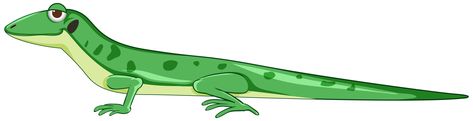 Gecko, Cartoon Styles, Vector Art, Art Images, Template Design, Clip Art, Art