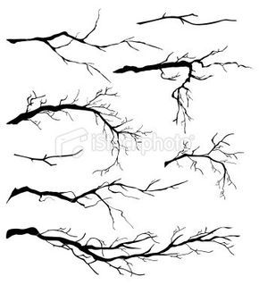 Tree / branch drawing Oak Tree Silhouette, Tree Branch Tattoo, Pine Tattoo, Branch Drawing, Family Tree Painting, Oak Tree Tattoo, Tattoo Tree, Family Tree Tattoo, Tree Painting Canvas