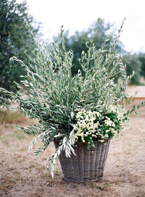 Photography: Jose Villa Photography josevillaphoto.com Floral Design: Natural Art Flowers By Rebecca Grace www.naturalartflowers.com.au Ceremony Venue: Private Olive Grove n/a View more: http://stylemepretty.com/vault/gallery/37806 Olive Tree Wedding, Wild Floral Arrangements, Olive Branch Wedding, Olive Wedding, Tree Photography, Tree Wedding, Olive Tree, Olive Branch, Wedding Deco