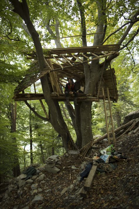 Cool Tree Houses Interior, Apocalypse Tree House, Abandoned Treehouse Aesthetic, Hang Out In The Woods, Forest Tree House Aesthetic, Secret Hideout In The Woods, Wilderness Survival Aesthetic, Fort In Woods, Hangout In The Woods