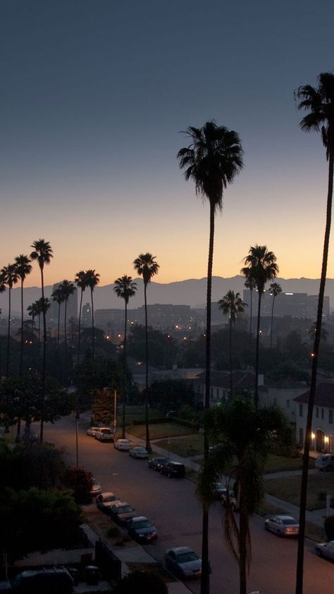 Los Angeles Palm Trees, Los Angeles Wallpaper, Palm Trees Wallpaper, Tree Wallpaper, City Of Angels, California Dreaming, City Aesthetic, Pretty Places, Sky Aesthetic