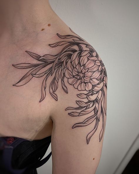 30+ Chrysanthemum Tattoos: Trending Ideas & Drawings - 100 Tattoos Chrysanthemum Tattoos For Women, Spider Chrysanthemum Tattoo, Chrysthemum Flower Tattoo, Chrysanthemum Shoulder Tattoo, Chrysanthemum Tattoo Shoulder, Traditional Chrysanthemum Tattoo, Black Chrysanthemum Tattoo, Chrysanthemum Tattoos, Shoulder Piece Tattoo