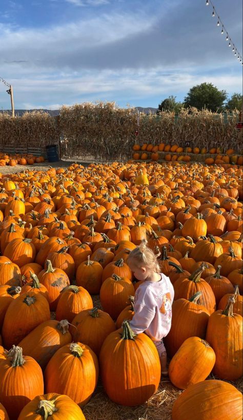 Fall Mom Aesthetic, Pumpkin Patch Pictures Kids, Toddler Pumpkin Patch Photos, Pumpkin Patch Pictures Baby, Family Pumpkin Patch Pictures, Utah Fall, Pumpkin Patch Kids, Fall Baby Pictures, Pumpkin Patch Pictures